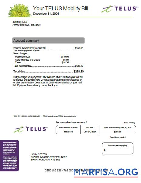 Printable Canada Telus utility bill template in Word and PDF formats, version 2